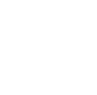 Logo France 2030 blanc