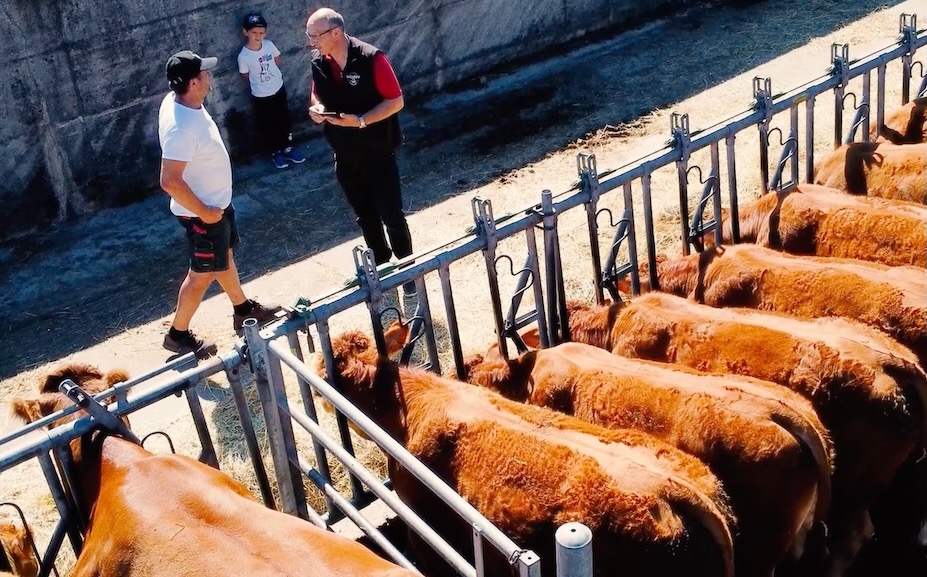 Eric Geay, vétérinaire conseil en élevage : “Ma grande satisfaction aujourd’hui, c’est de contribuer au bien-être animal”
